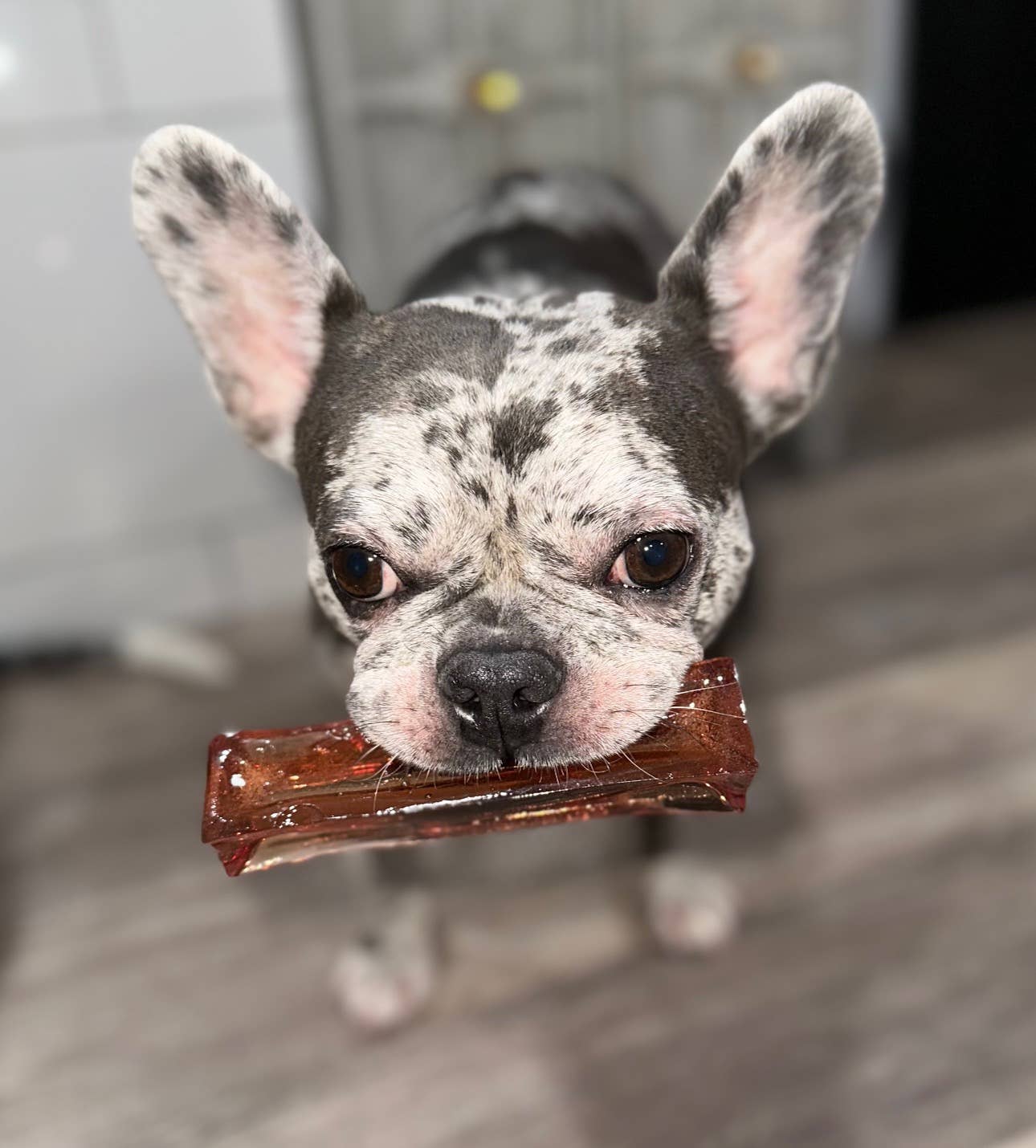 Wag & Bright | Petit Mighty Marrows Collagène à mâcher | Foie de bœuf
