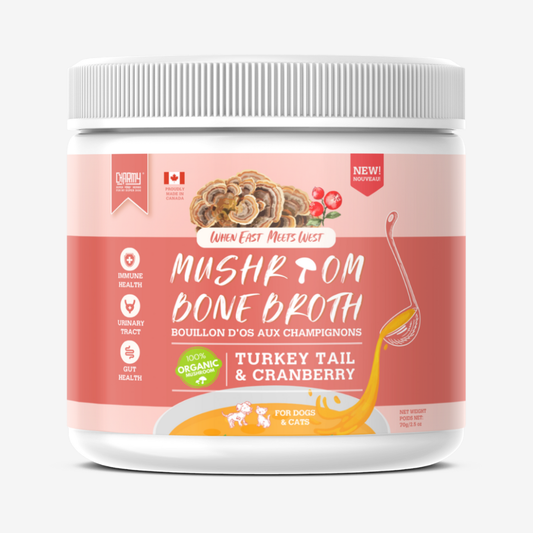 Bouillon d'os au champignon ''queue de dinde'' et canneberge