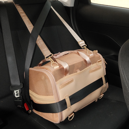 Transporteur pour animaux de compagnie