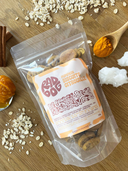 Rad Dog Goods | Biscuits à la citrouille