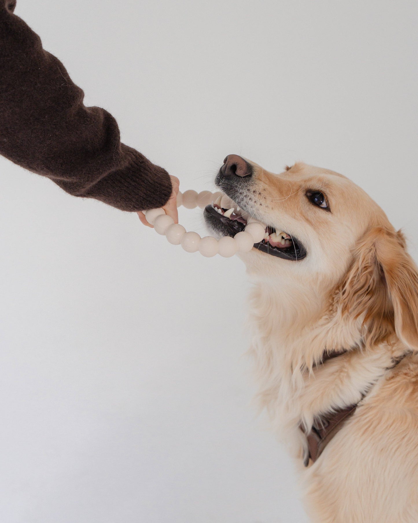 Dexy Paws | Anneau de dentition agressif | Nude