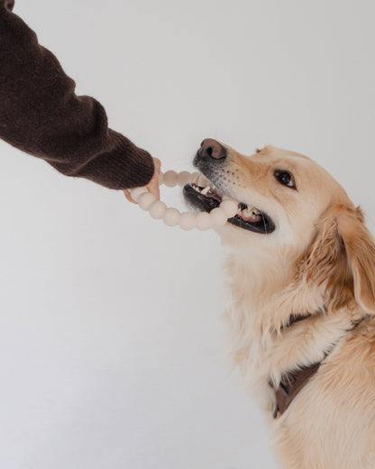 Dexy Paws | Anneau de dentition agressif | Nude