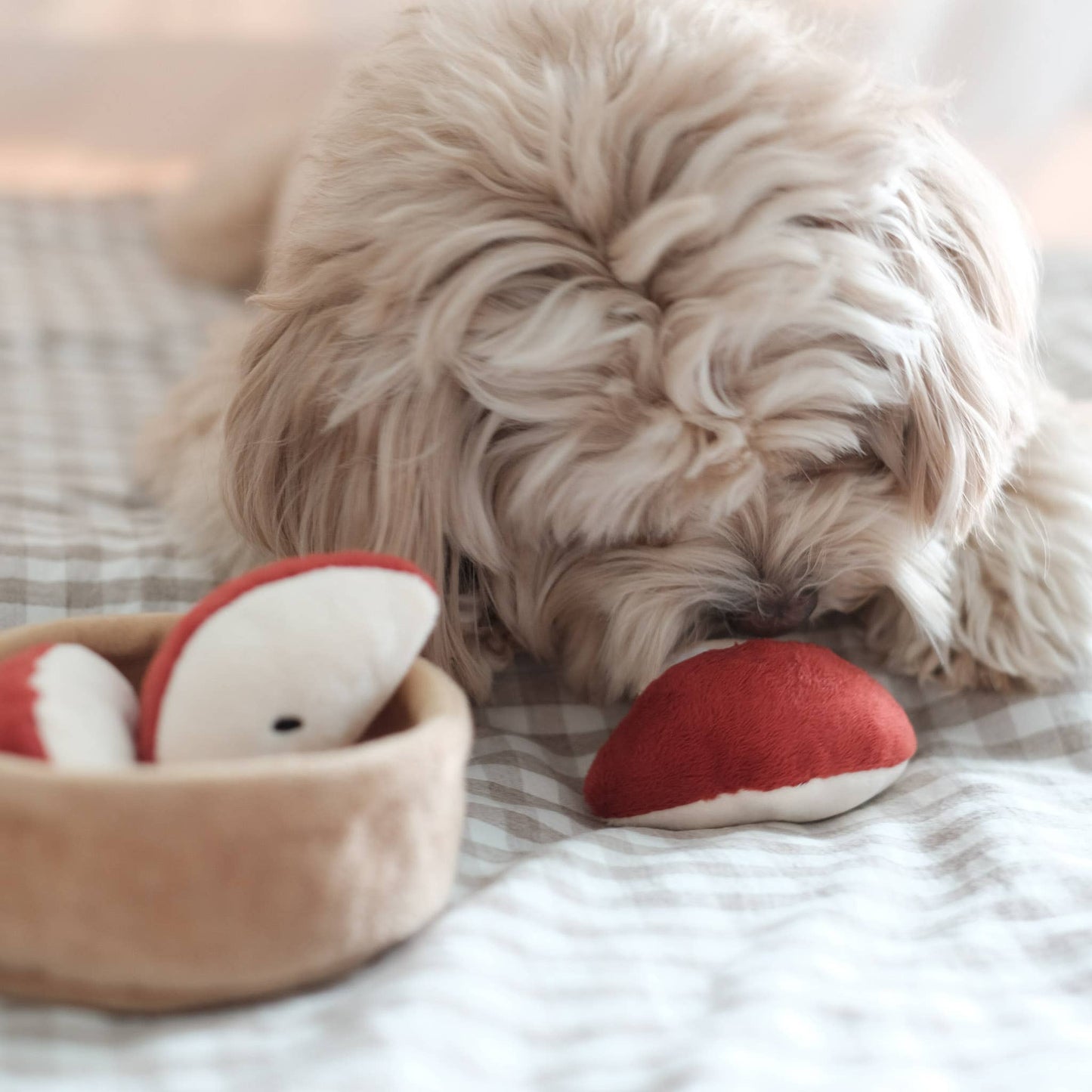 Pups & Bubs | Tarte aux pommes interactive