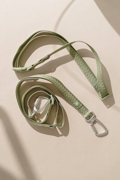 Laisse mains libres quotidienne | Matcha
