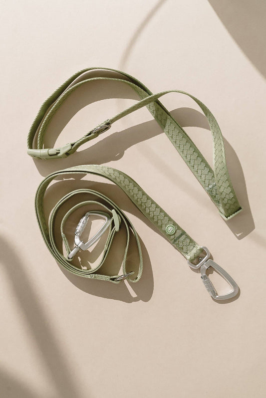 Laisse mains libres quotidienne | Matcha