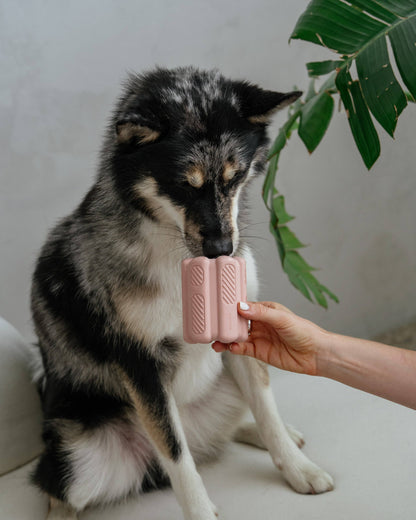 Dexy Paws | Jouet de Dentition | Blush
