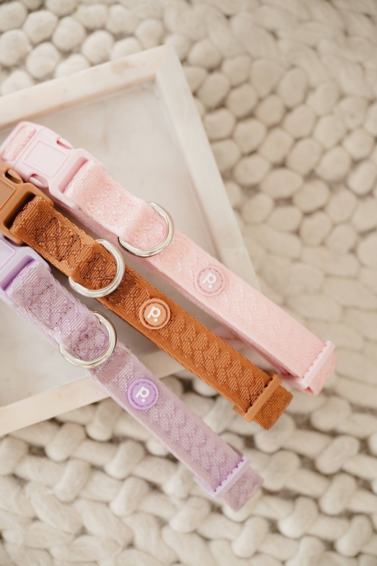 Peachy Dogs | Collier Daily | Litchi