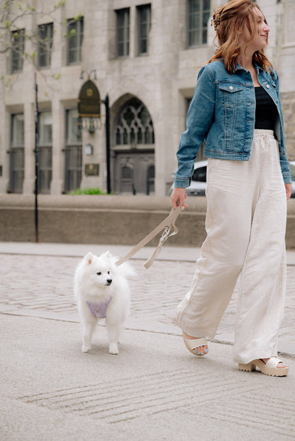 Peachy Dogs | Harnais Classique 2.0 | Lila