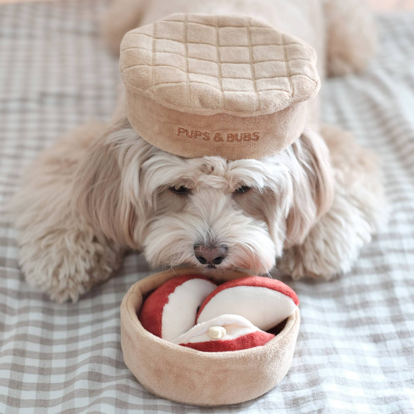 Pups & Bubs | Tarte aux pommes interactive