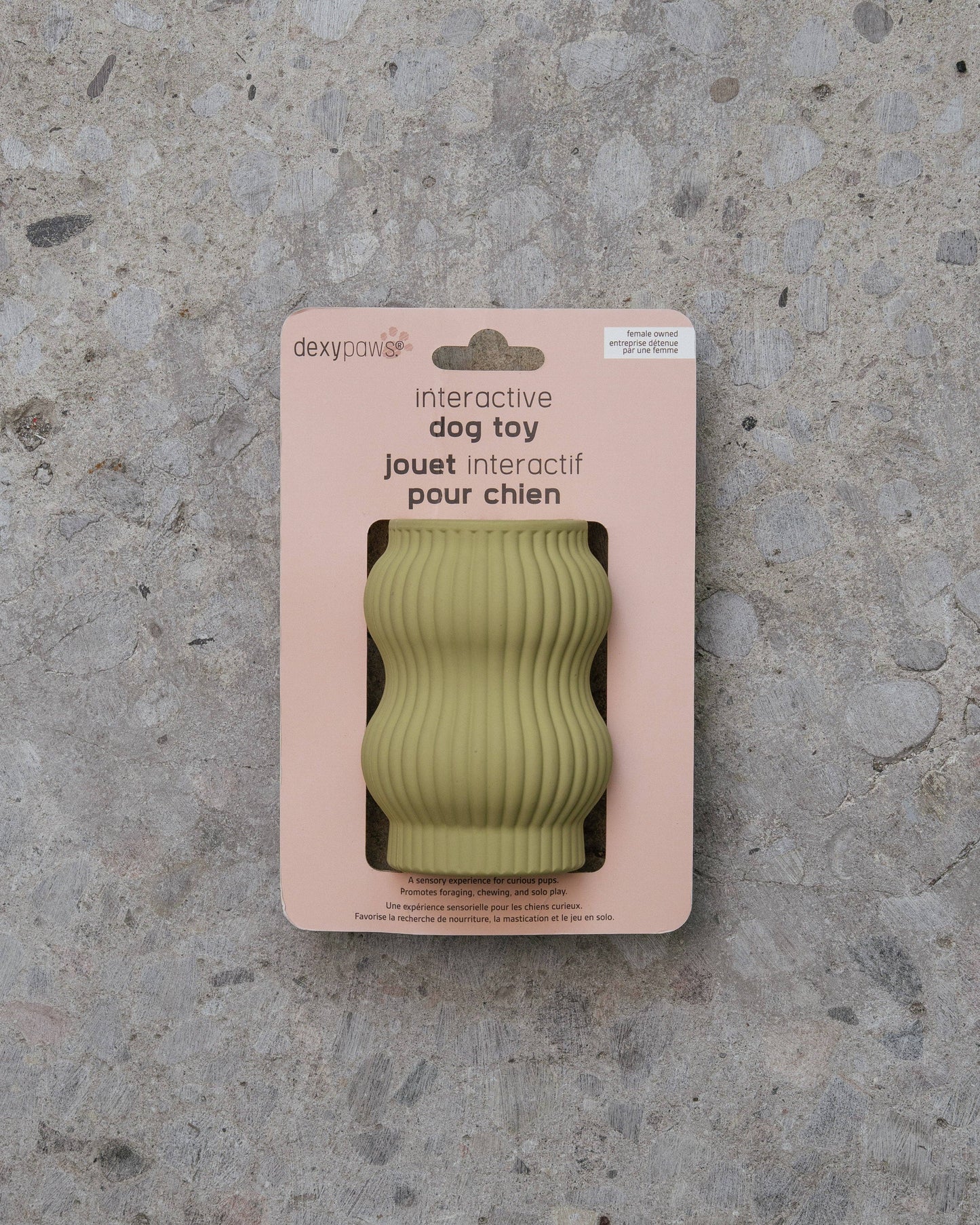 Dexy Paws | Jouet de Dentition | Jade