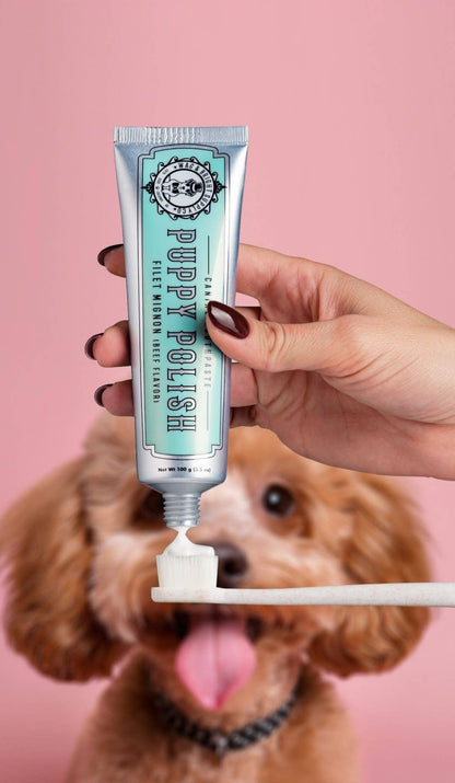 Wag & Bright | Dentifrice pour chiens | Filet mignon
