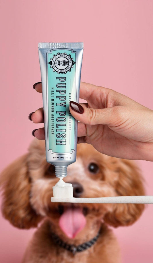 Wag & Bright | Dentifrice pour chiens | Filet mignon