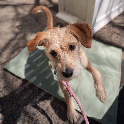 Pups & Bubs | Tapis de voyage pour animaux | Grand