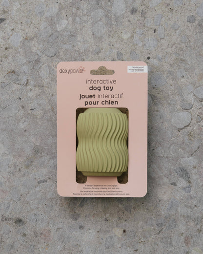 Dexy Paws | Jouet de Dentition | Sauge