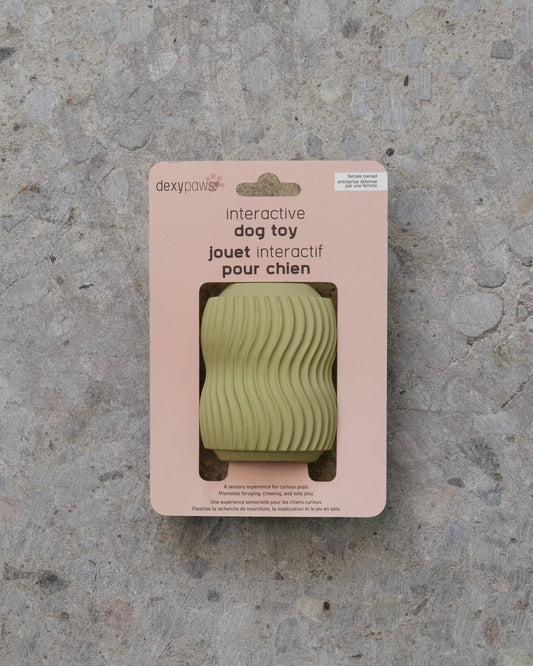Dexy Paws | Jouet de Dentition | Sauge