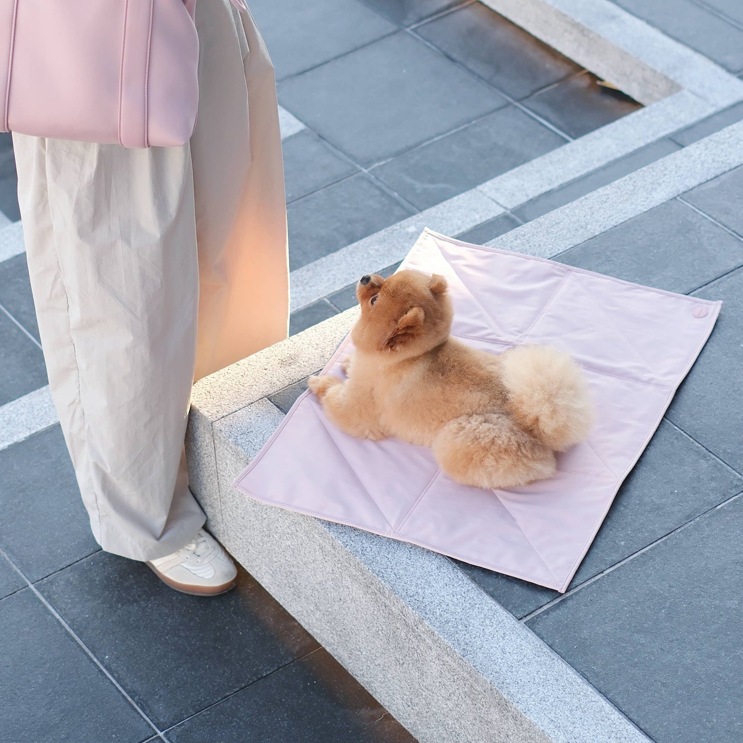 Pups & Bubs | Tapis de voyage pour animaux | Petit