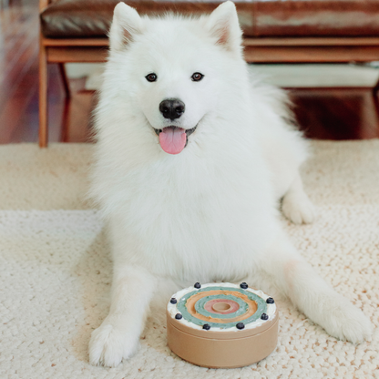 Lambwolf Collective | Bento 3 en 1