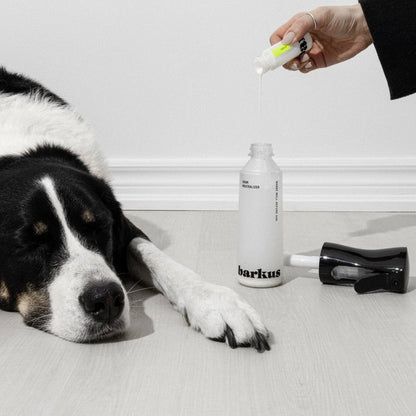 Barkus - Kit de fleurs