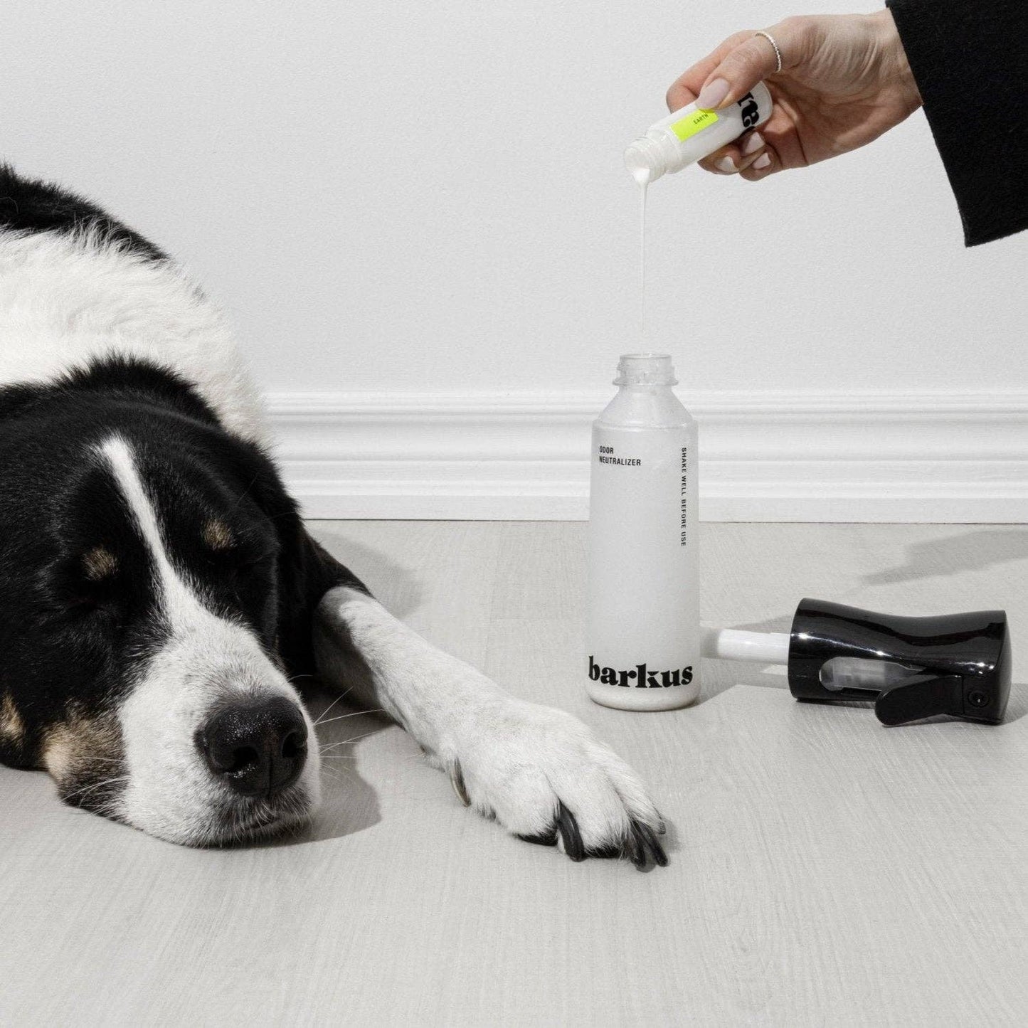 Barkus - Kit Terre