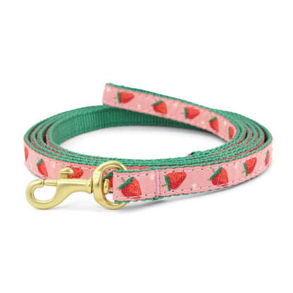 Up Country | Laisse pour petit chien | Strawberry Fields