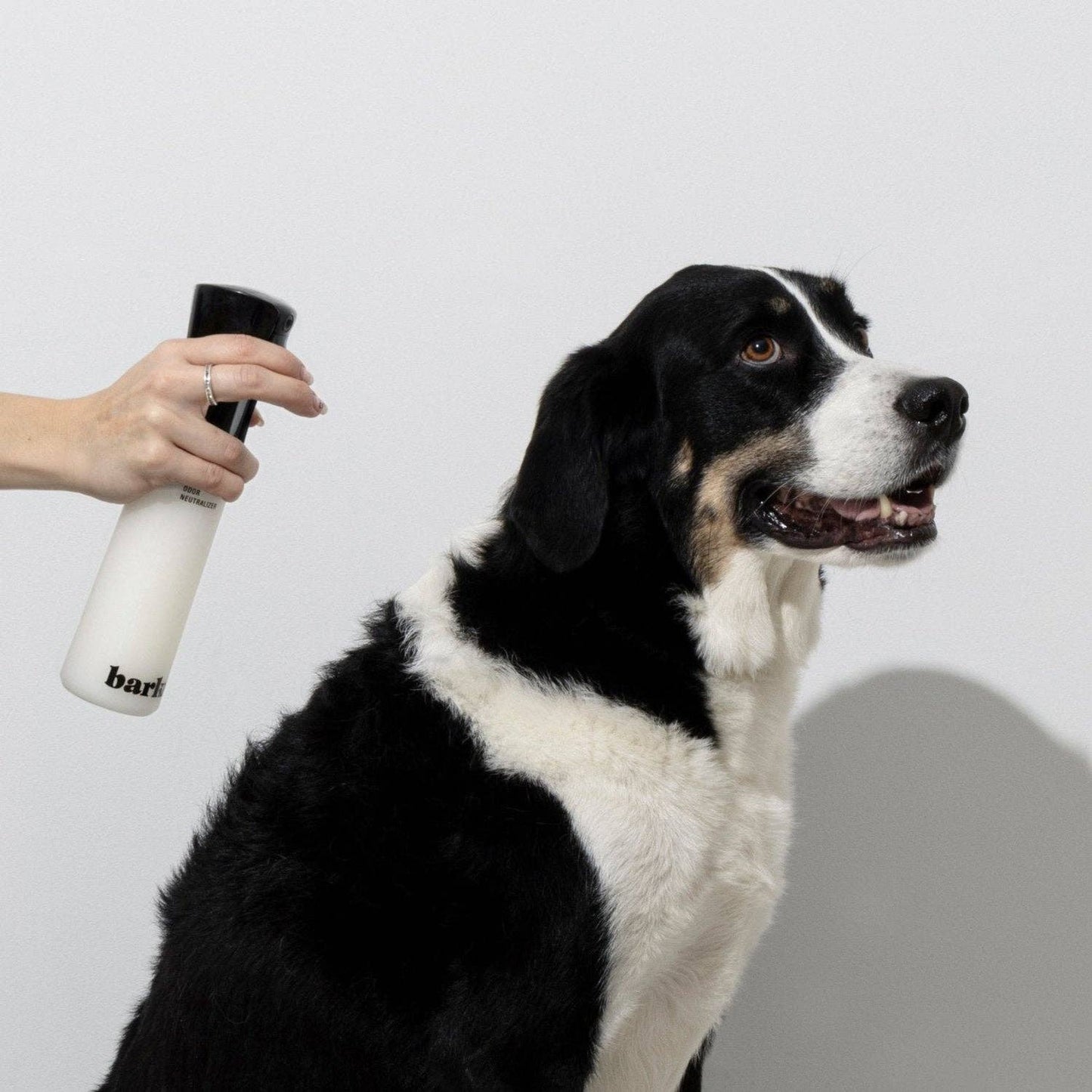 Barkus - Kit Terre