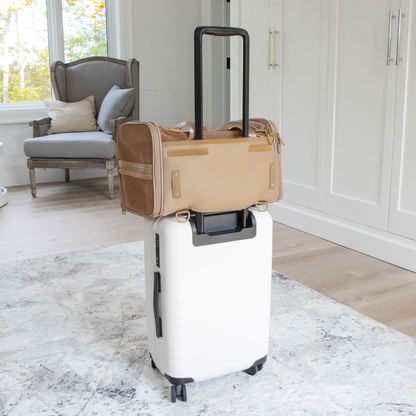 Transporteur pour animaux de compagnie