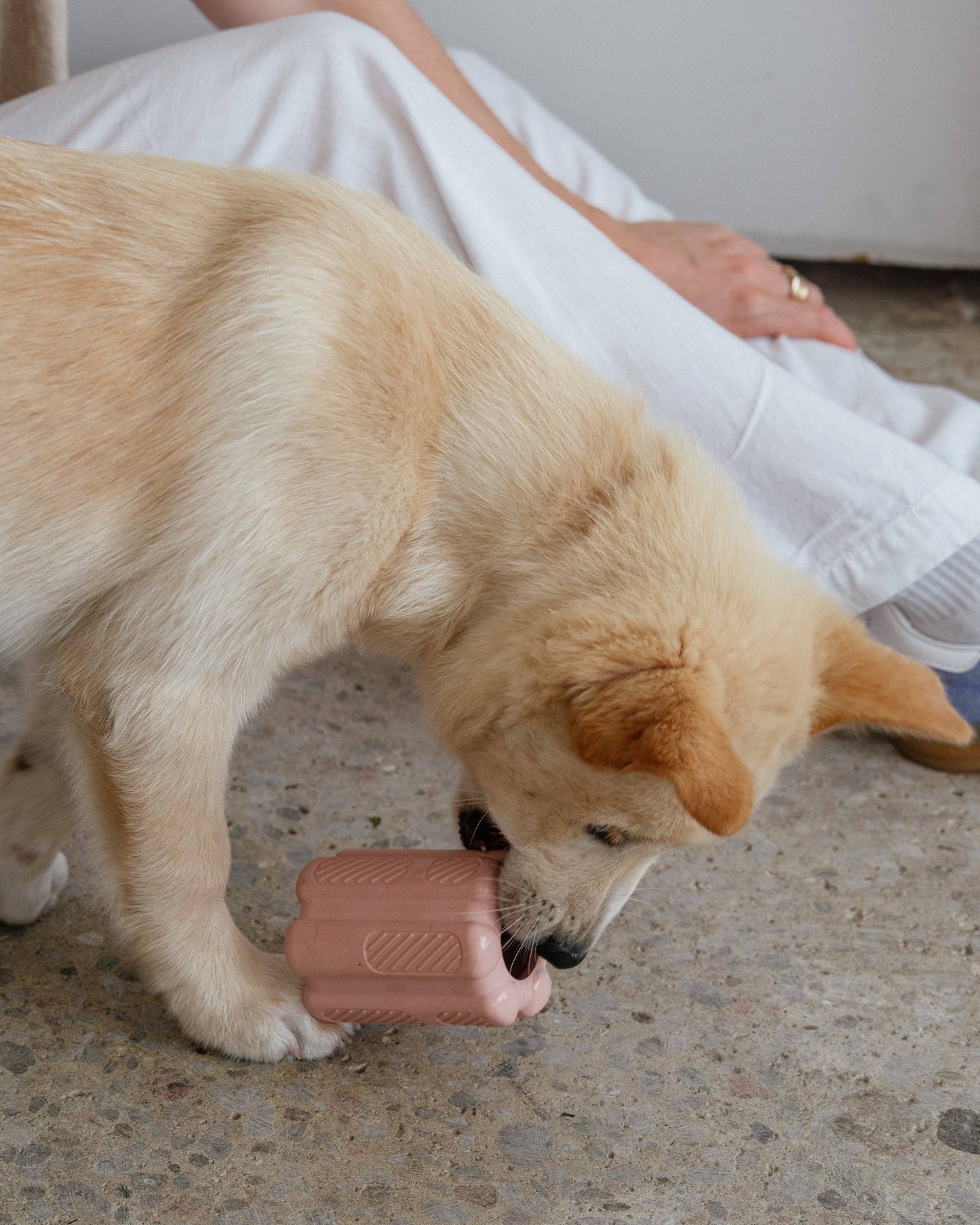 Dexy Paws | Jouet de Dentition | Blush